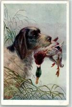 Flugente B.K.W.I. Nr.859-1 Jagdhund Künstlerkarte