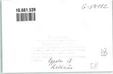 Oppeln Opole Privatfoto KEINE AK Rathaus Oldtimer