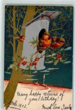 Vogelhaus Ilex Mondschein Rotkehlchen 1902 Prägedruck