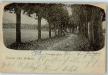 77855 W7590 Achern , Baden 1901 Foto AK Illenauer Allee