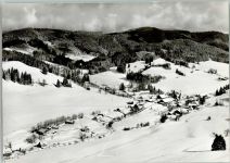 88316 W7972 Bolsternang - Luftaufnahme Winter