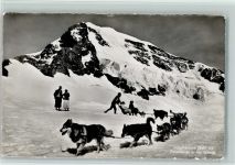 Jungfraujoch Mönch Winter Hundeschlitten