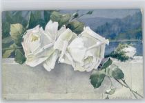 weiße Rosen Reckziegel, E