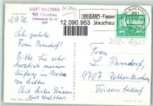 Junger Puma 1976 Raubkatze