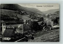 72275 W7297 Reinerzau - Teilansicht, Frauen mit Sense, Heuernte, gute Erhaltung AK