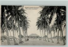 Saint Louis Place des Cocotiers , gute Erhaltung AK Kolonien 1900