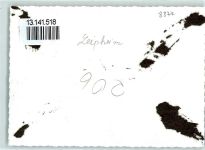 89340 W8874 Leipheim Gebrauchsspuren Ort handschriftlich Foto-Ak