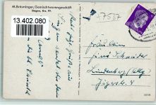 75196 W7537 Singen , Kr Pforzheim 1943 - Wasserfall, Gärtnerei Bräuninger, Kaufhaus Krauss AK
