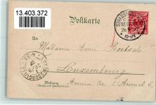 72250 W7290 Bad Peterstal 1897 Lithographie Gruss aus - Dorf, Bad und Freyersbach AK