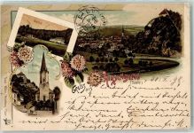 07927 O6553 Hirschberg , Saale 1898 Gebrauchsspuren Waldlust Astern Saaleschleife Kirche Schloß Litho