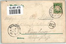 95676 W8597 Wiesau 1905 Lithographie König Otto-Bad Schloß Fuchsmühl