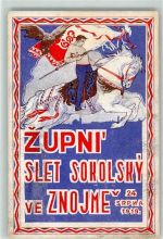 Znojmo Znaim 1919 Künstlerkarte Zupni Slet Sokolsky Falke