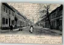 39638 O3570 Gardelegen 1911 - Stendalerstraße Frau mit Milchkannen