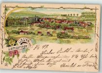31195 W3206 Lamspringe 1899 Lithographie Rosen Lamspringe