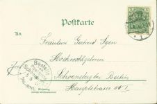 Veilchen Gänseblümchen Auflage mit echten kleinen Perlen Blume 1900 Lithographie