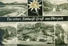 87541 W8973 Oberjoch AK mit gepresstem Edelweiß Mehrbildkarte