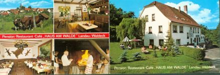 34454 W3548 Landau , Waldeck KEINE AK Pension Gasthaus Cafe Haus am Walde Innen- und Aussenansicht Klappkarte Kühe