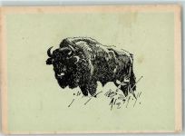 Bison Hohlwein, L. Künstlerkarte