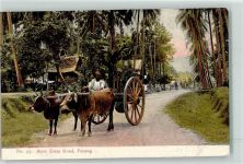 Penang Pulau Pinang - Ochsengespann