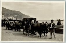 Funchal - Ochsenschlitten