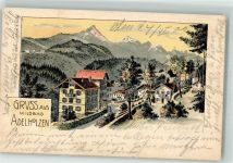 83313 W8227 Bad Adelholzen , Kr Traunstein, Oberbay 1900 Lithographie