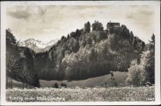 87561 W8980 Fischen 1937 - Fischen, Frühling an der Schöllanger Burg.,W. Mertesacker