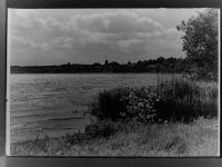 24361 W2333 Groß Wittensee GLASNEGATIV See