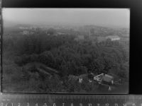 25693 W2224 Quickborn , Dithm GLASNEGATIV Blick vom Aussichtsturm
