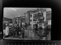 59368 W4712 Werne GLASNEGATIV Likörfabrik Rother