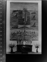 26548 W2982 Norderney GLASNEGATIV Stella Maris