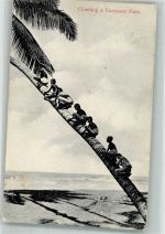 Colombo Climbing a Coconut Palm Motiv Sri Lanka / Ceylon Folienkarte / Lackkarte