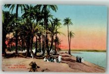 Kairo Cairo Tracht Oase am Nil Palmen Motiv Ägypten Foto AK