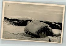 Spindleruv Mlyn Spindelmühle 1943 Winter An der Elbquelle Riesengebirge