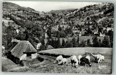 15800 Thiezac Foto AK
