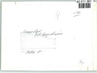59969 W5789 Somplar FOTO KEINE AK Erholungsheim Innenaufnahme