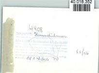 48249 W4408 Hausdülmen FOTO KEINE AK Terrasse