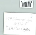 29640 W3043 Schneverdingen FOTO KEINE AK Heideschnucken