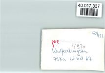 32545 W4970 Wulferdingsen FOTO KEINE AK