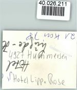 32676 W4927 Hummersen FOTO KEINE AK Hotel Lippische Rose Winter