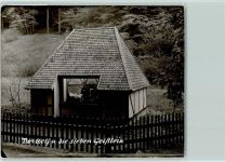 W3388 Bad Harzburg Märchenwald der Wolf und die sieben Geißlein Der Wolf und die sieben Geißlein FOTO KEINE AK