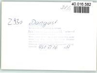 26316 W2930 Dangast FOTO KEINE AK Luftaufnahme Campingplatz