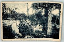 Tripolis 1916 Foto AK Libia -Italiana Magnifico Girardino Arabo