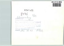 92533 W8475 Wernberg FOTO KEINE AK Luftaufnahme
