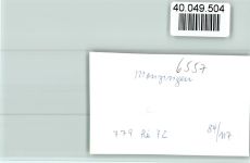 55569 W6557 Monzingen FOTO KEINE AK Denkmal
