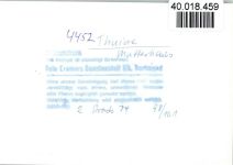 W4452 Thuine , Emsl Mutterhaus Krippefiguren Krippe FOTO KEINE AK