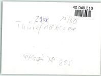 26169 W2908 Thülsfelde FOTO KEINE AK Luftaufnahme