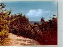 24398 W2343 Schönhagen , Schwansen FOTO KEINE AK Wald
