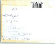 24398 W2343 Schönhagen , Schwansen FOTO KEINE AK Wald