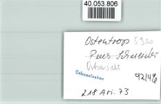 57413 W5950 Ostentrop FOTO KEINE AK Ortsansicht
