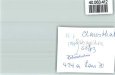 W3392 Clausthal-Zellerfeld Ratsapotheke Apotheke FOTO KEINE AK